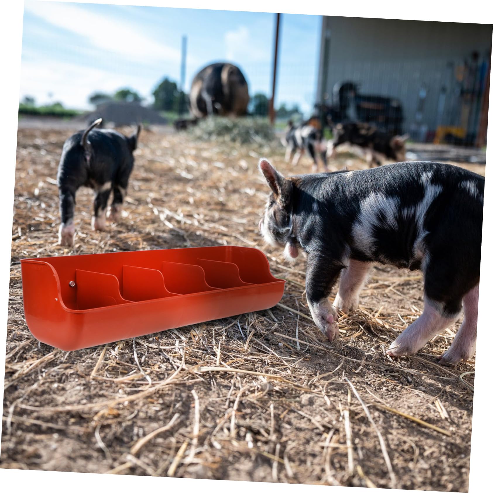 Mangiatoia per Suini in Plastica a 5 Scomparti Marrone Pp | Capienza Ampia, Alta Resistenza All'usura, Smontaggio Semplice, Uso in Fattoria per Altri Animali da Allevamento