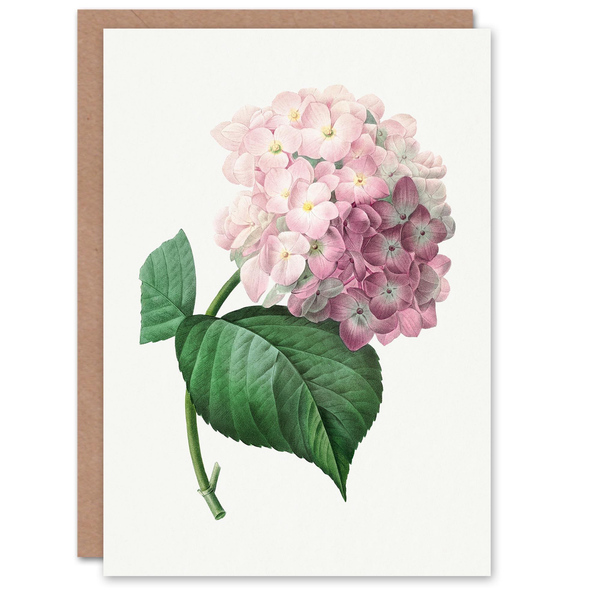 Artery8 Pierre-Joseph Redouté Art Card Hydrangea Vintage Botanical Illustration
