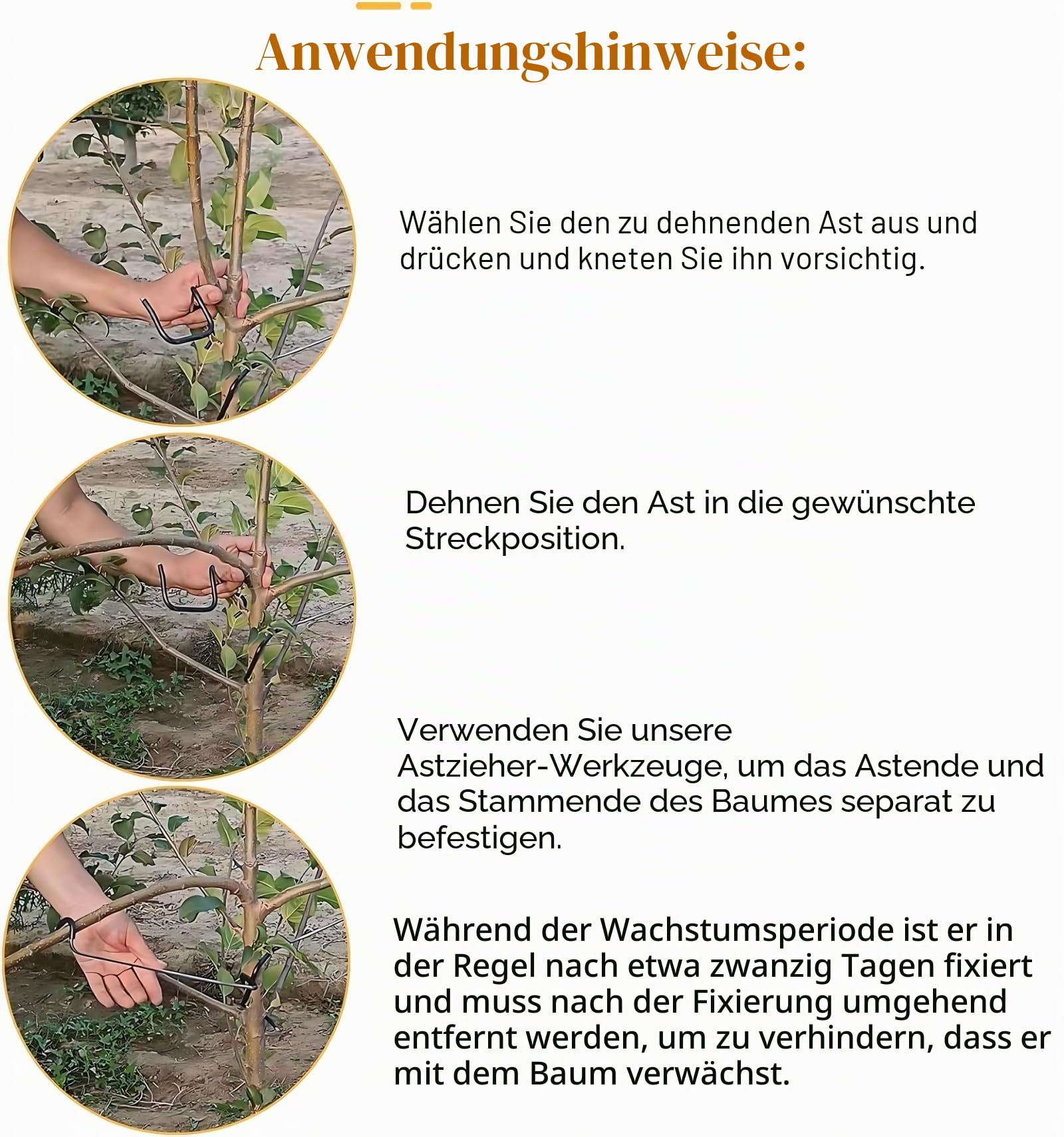 Obstbaum-Astabspreizer 20 Stück, 17,8 cm Astzieher, Neuer Obstzweig-Spreizer aus Kunststoffschlauch mit umwickeltem Eisendraht, beschädigt Äste nicht, Zweige-Öffnungswinkel-Zugast-Biegewerkzeug