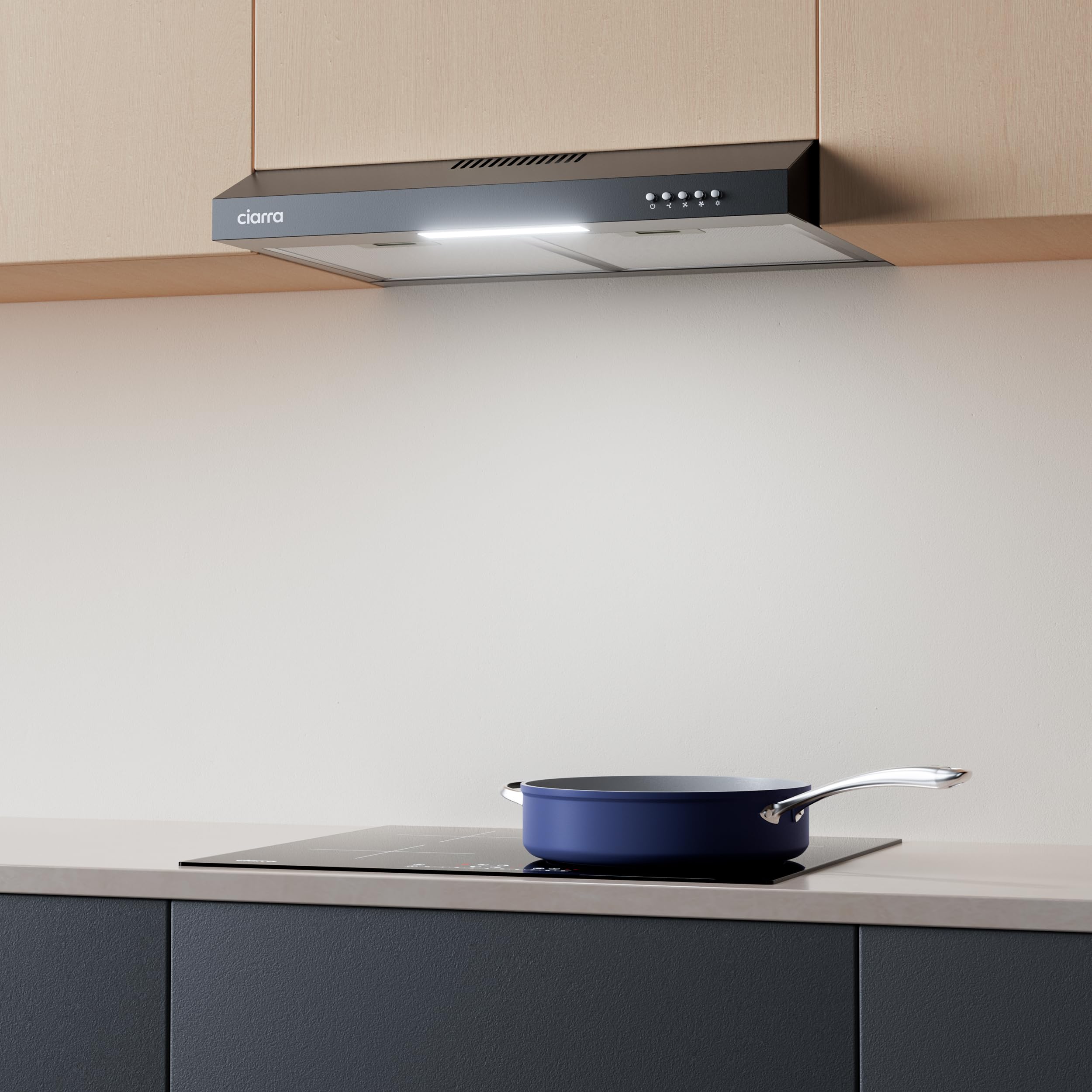 CIARRA CBCB6903D Campana Extractora Cocina 60 cm Clase A+ Negra | Cocina extractora integrada para Armario 3 Niveles de Potencia con Filtro de Carbón CBCF009