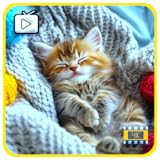 Relaxing Space Screens TV