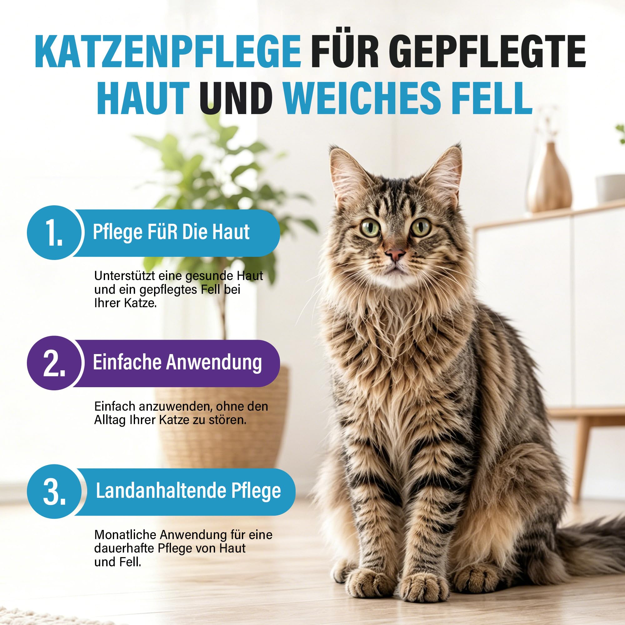 12 Pipetten Natürliche Pflegetropfen für Katzen und Kätzchen, Sanfte Kräuterextrakt-Formel, Sanfte Pflege für Empfindliche Haut