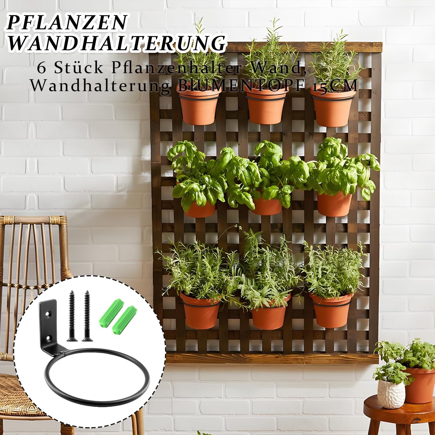 Soporte de Pared para Plantas, 6 Piezas Soporte de Pared para Plantas de 15 cm, Anillo metálico para Montaje en Pared, con Tornillos y Destornillador, para macetas, jardín, balcón, Negro