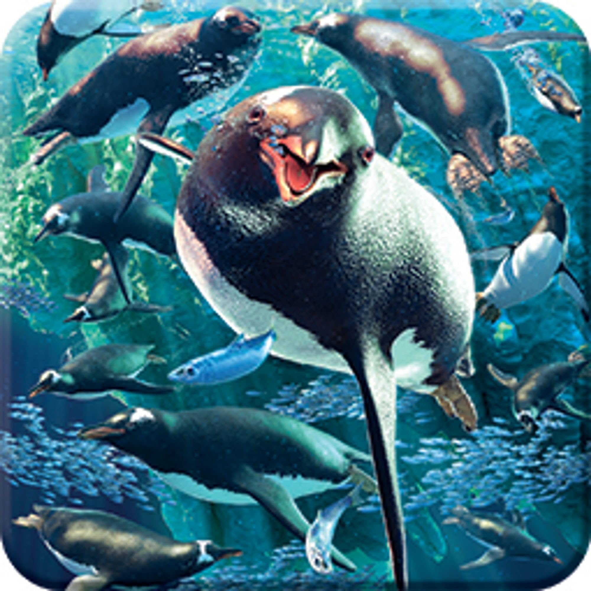 3D LiveLife Cork Coaster - Gentoo Penguins from Deluxebase. Lenticular 3D Penguin Drink & Mug Coasters. Fun Animal Gifts for Women and Men. Novelty Kitchen and Decorative Home Accessories.