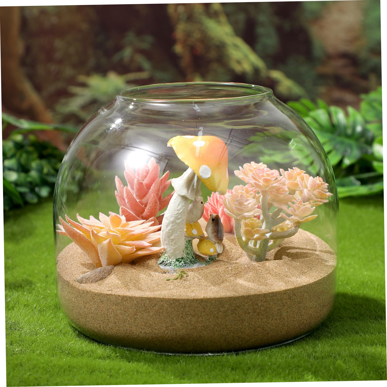 DOITOOL Glas Terrarium Pflanzgefäß für Sukkulenten und Moos Rundes Hydroponisches Kleiner Terrarium mit Korkverschluss Dekoratives Glasgefäß für Zimmerpflanzen und Selbstgemacht