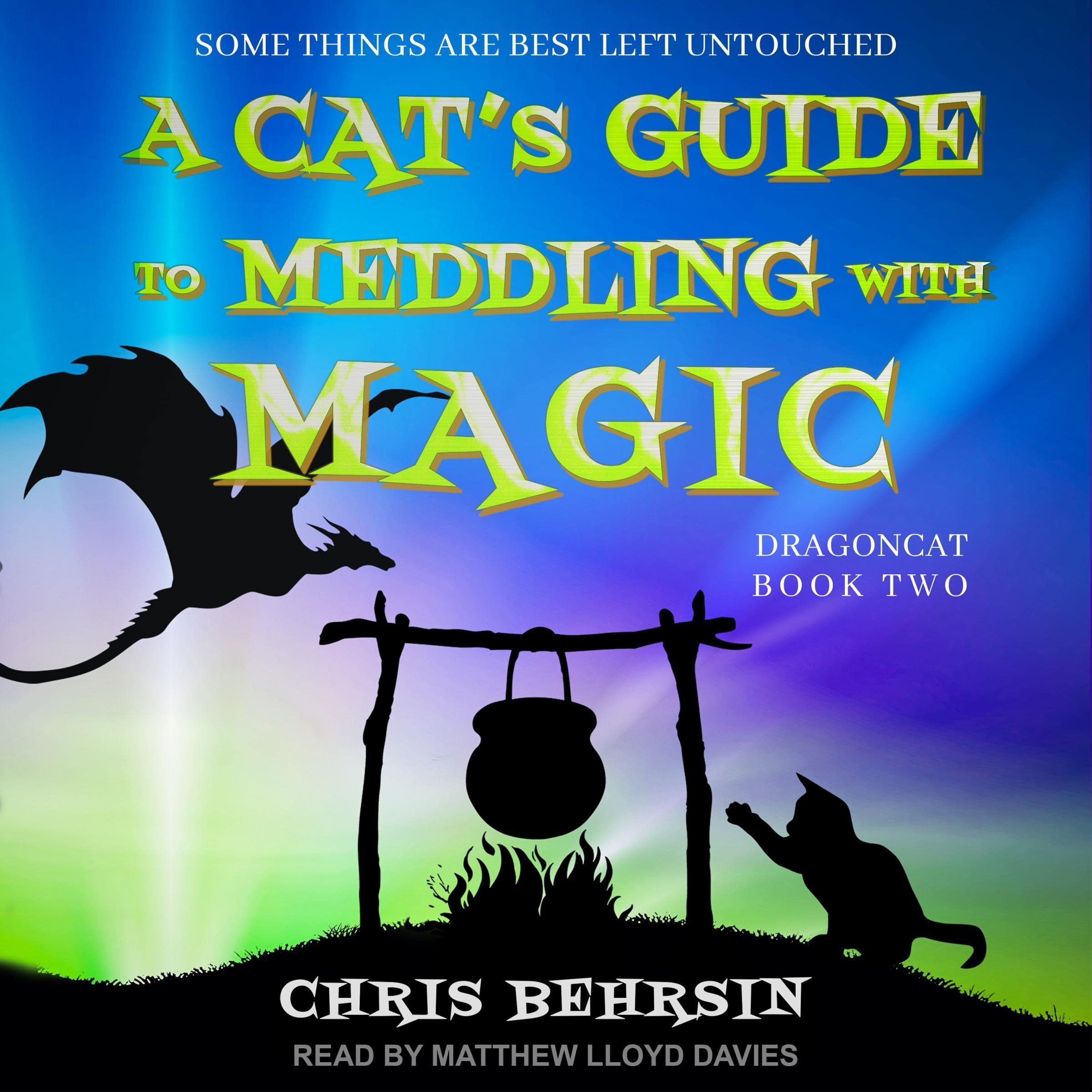 A Cat's Guide to Meddling with Magic