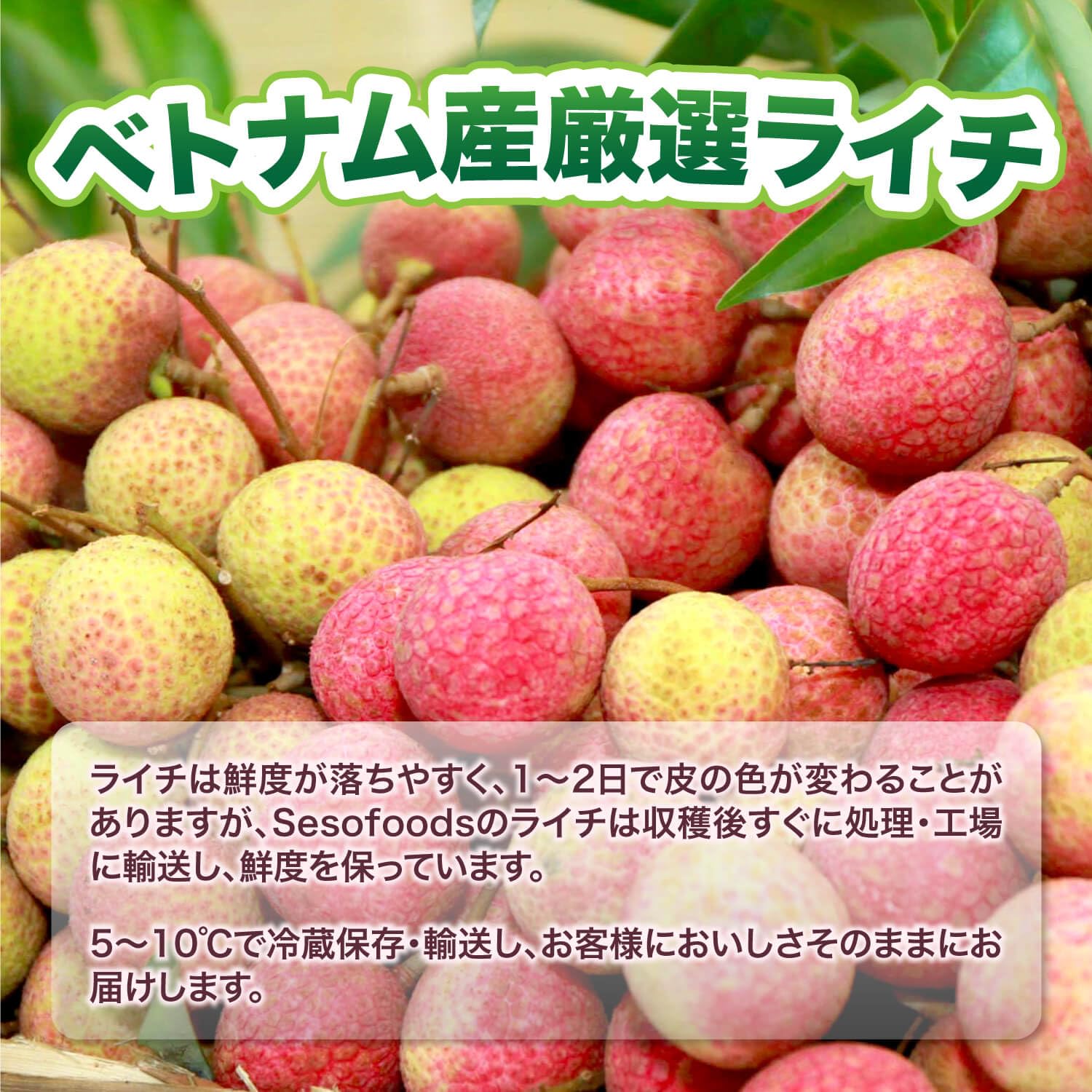 Amazon.co.jp: 生ライチ ベトナム産 トロピカルフルーツ 果物 (クール 