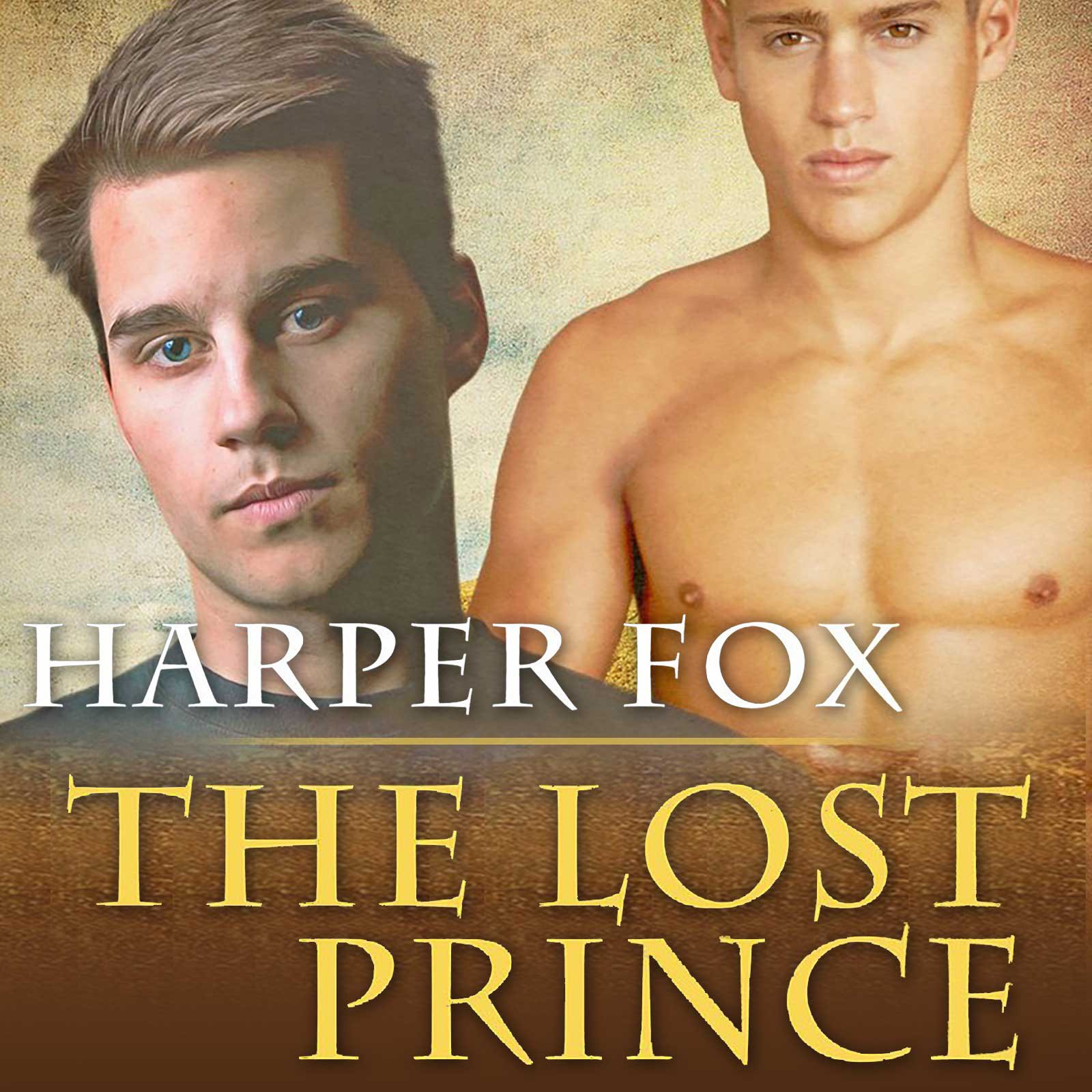 Cover art for The Lost Prince