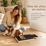 Ver la foto 6