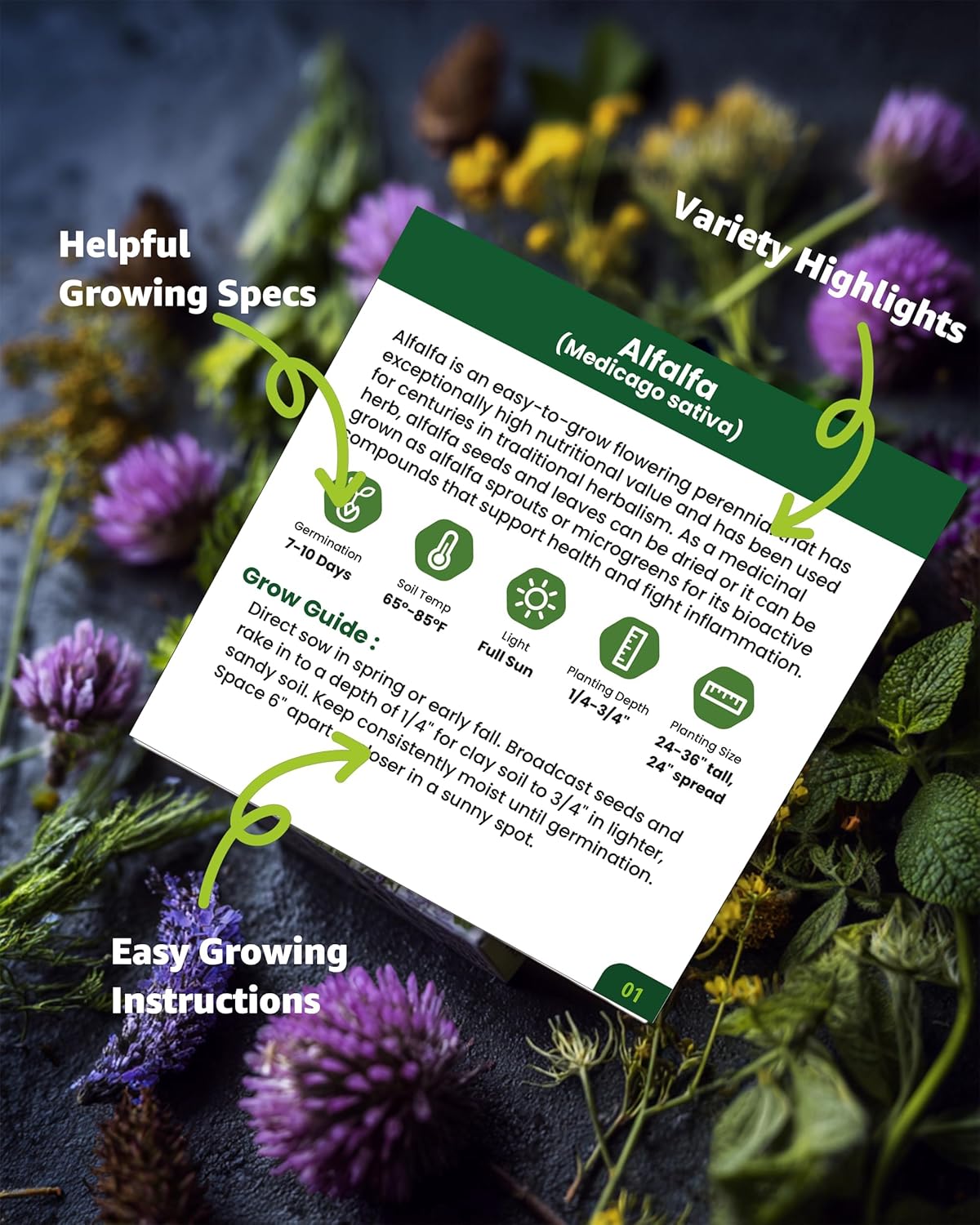 Medicinal Herb Seeds Variety Pack - 36 Heirloom Non-GMO Herbal Tea Garden Seeds: Chamomile, Lavender, Echinacea, Yarrow, Mugwort for Planting Indoor & Outdoor, Apothecary & Homesteading Supplies