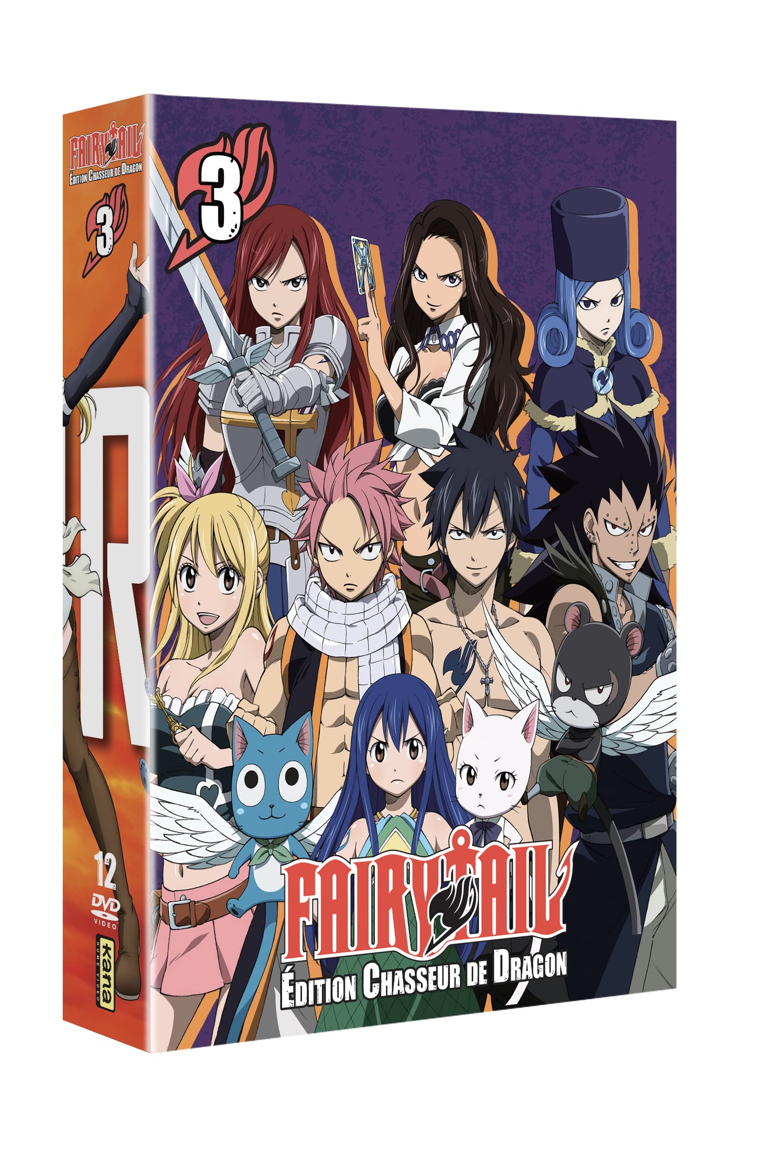 Fairy tail - édition chasseur de dragon 3