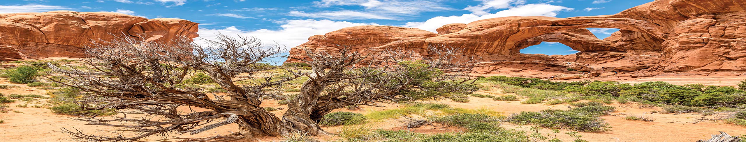 Carolina Custom Cages Reptile Habitat Background; Double Arch with Tree, for 36Lx24Wx18H Terrarium, 3-Sided Wraparound