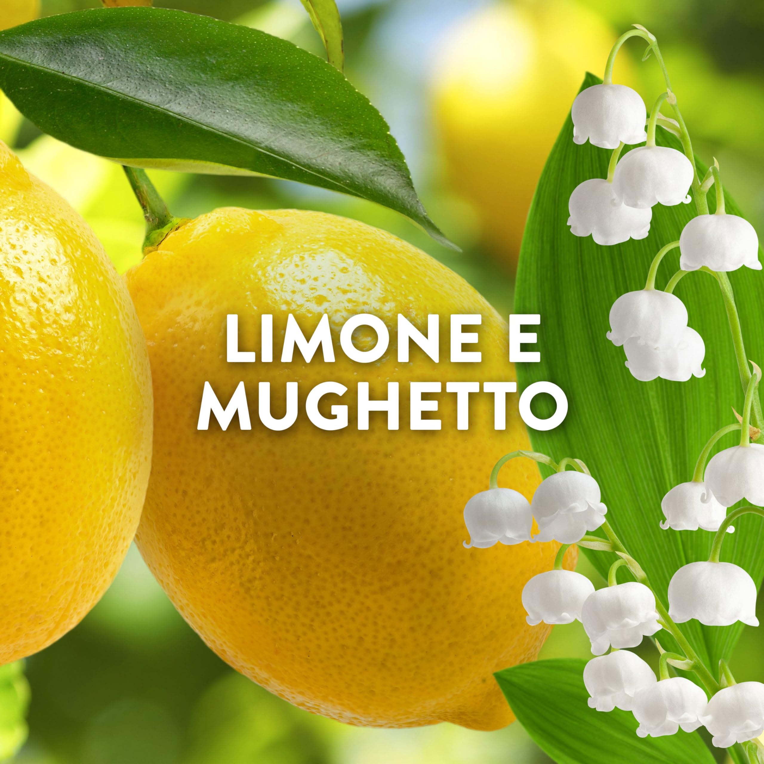 Lenor Ammorbidente Lavatrice Concentrato Essenze d’Italia, 440 Lavaggi (8x55), Amalfi, Note Di Limone e Mughetto, Profumo autentico di lunga durata