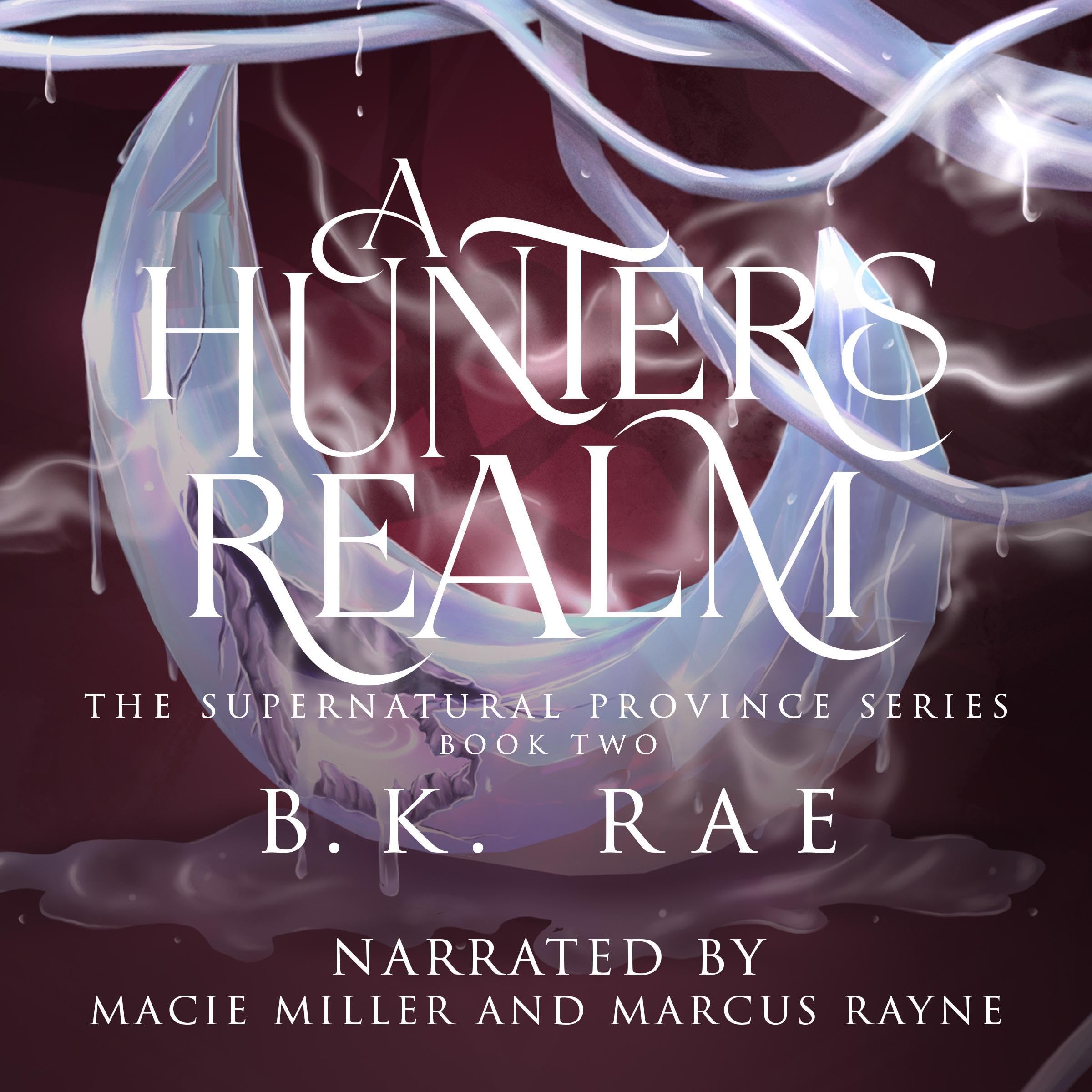 Cover art for A Hunter's Realm