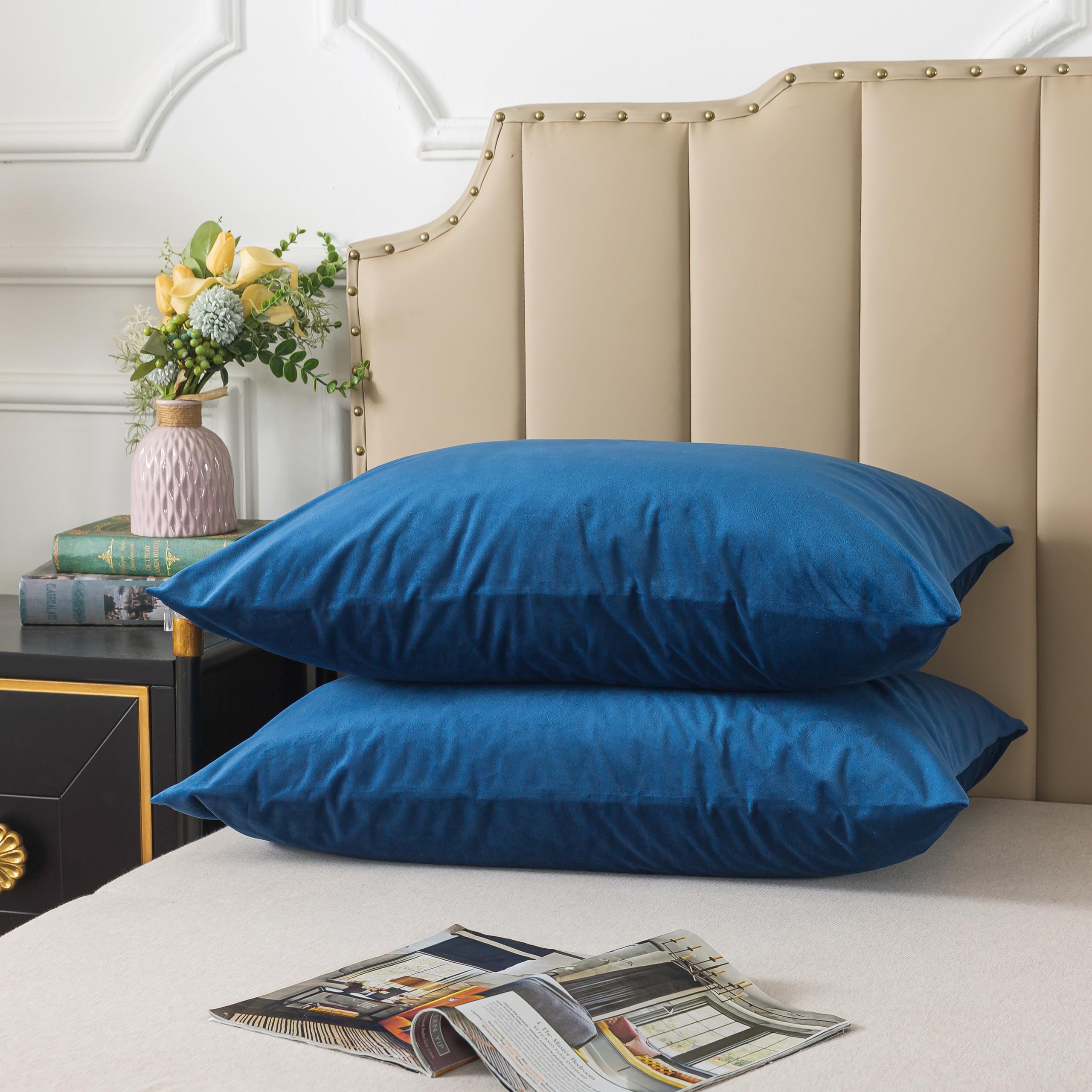 H HOUSEHOLD Set of 2 Velvet Queen Size Pillowcase Soft and Cozy Luxury Fuzzy Flannel 20x30 Inches Pillow