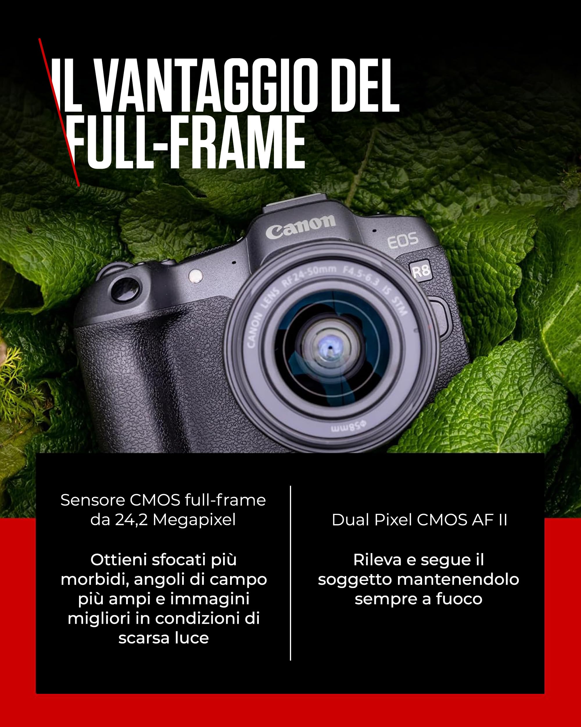 Canon EOS R8 + RF 24-50mm F4.5-6.3 - Fotocamera Digitale Mirrorless - Sensore CMOS Full-Frame da 24,2 MP - Dual Pixel CMOS AF II - Composizione Integrata - Touchscreen LCD - Compatibilità UVC/UAC