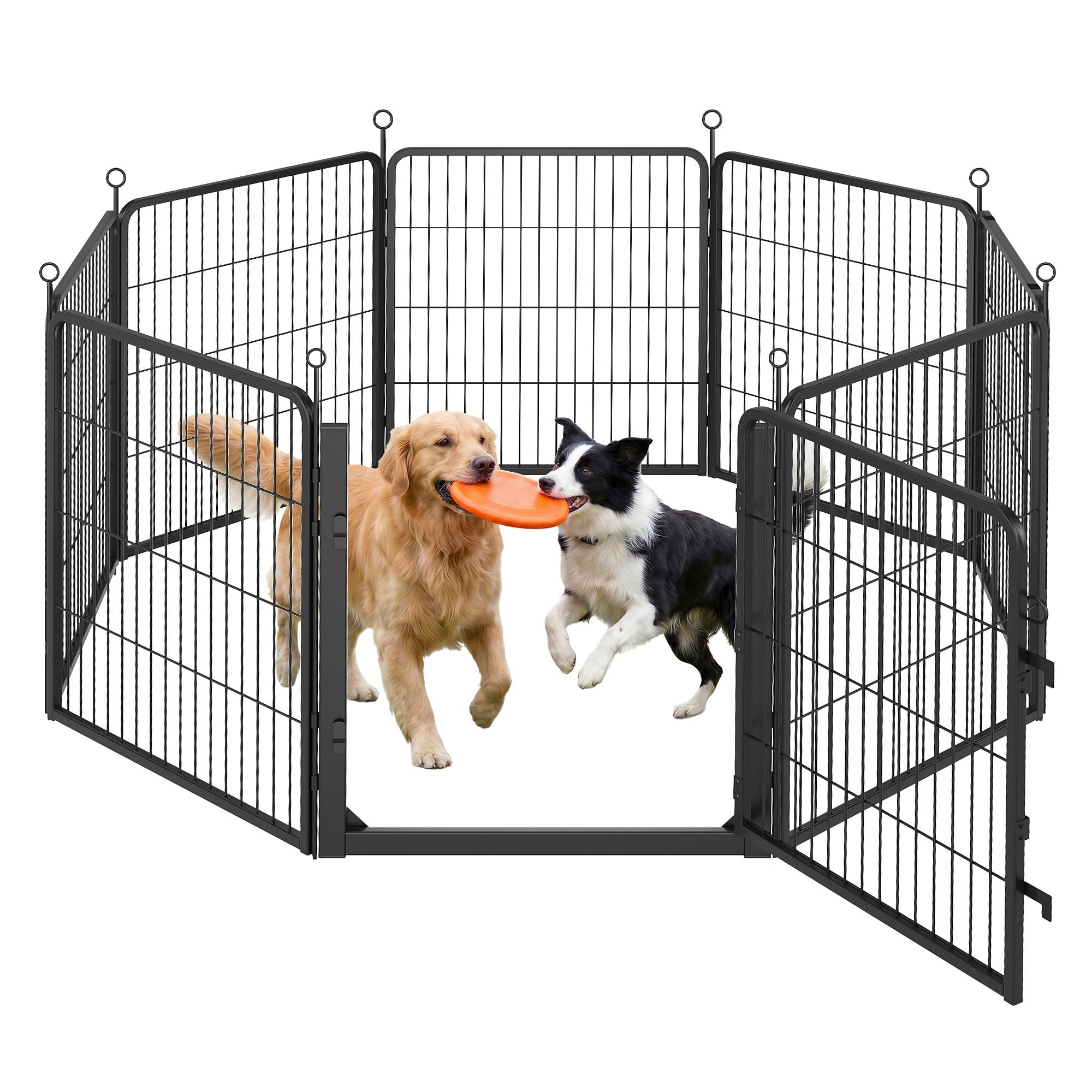 Feandrea Parque para Perros, Valla de Acero para Mascotas, Corralito Plegable con Puerta, 170 x 170 x 80 cm, Negro Ahumado, Uso en Interiores y Exteriores, Colección Dack PPK028B102