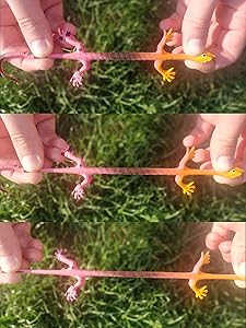 UpBrands Painted Stretchy Lizards Toys 3 Inches Bulk Set, 4 Models, Kit for Birthday Party Favors for Kids, Goodie Bags, Easter Egg Basket Stuffers, Pinata Filler, Classroom Prizes (12 Pack)