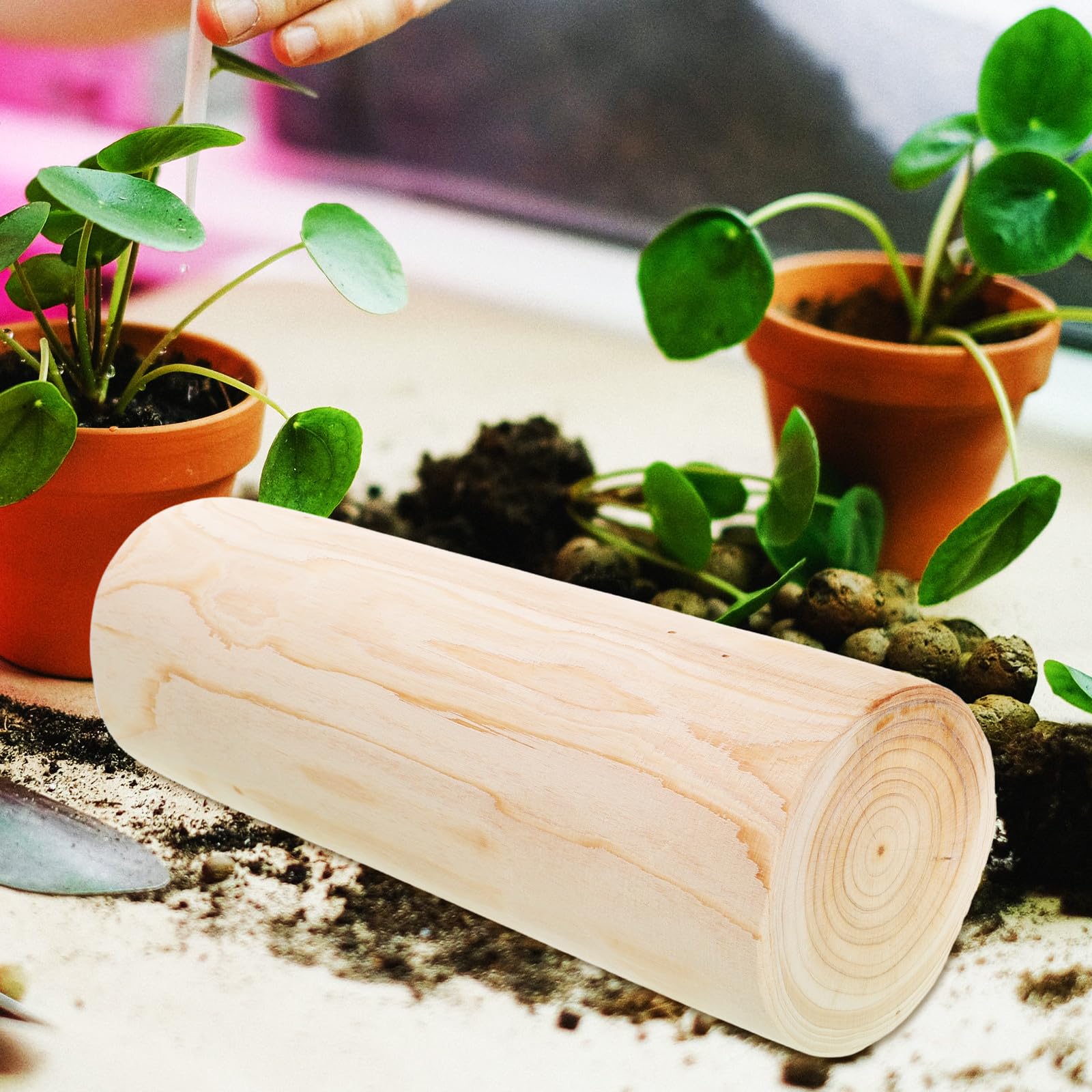UPKOCH Mini Piquets de Jardin en Bois Naturel Rond 10-11 CM X 30 CM Décoration Extérieure Rustique pour Jardinières Support Plantes Succulentes Bordure de Parterre Polyvalente pour