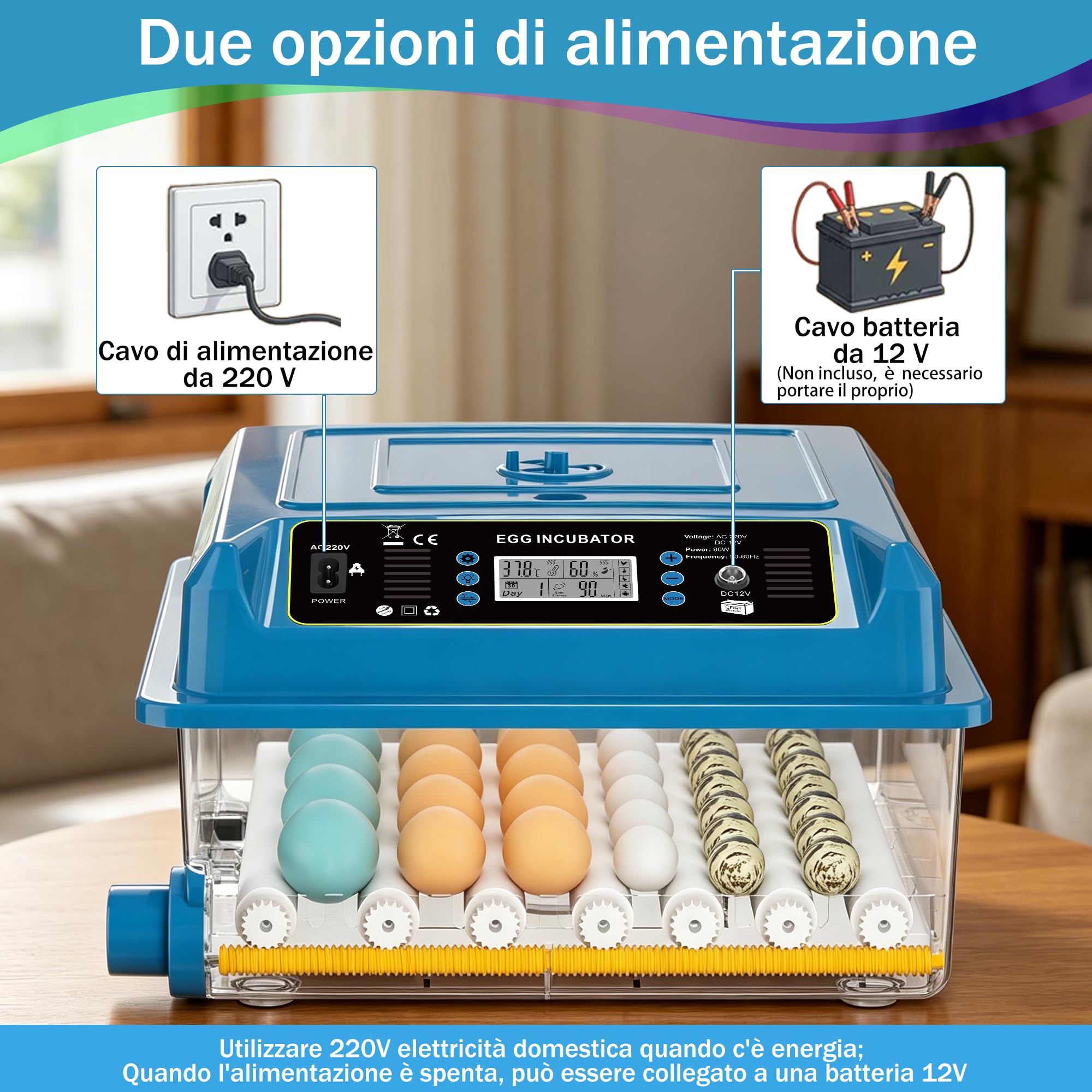incubatrice automatica 36 uova, 5 modalità cova auto, regolatore acqua esterno, controllo temperatura, rotazione uova auto, display cova, per galline anatre oche (Blu)