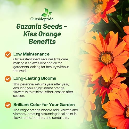 Miniatura 3 de Outsidepride Kiss Orange Gazania Semillas para plantar  50 piezas de semillas perennes, de bajo mantenimiento, tolerantes a la sequía para flores