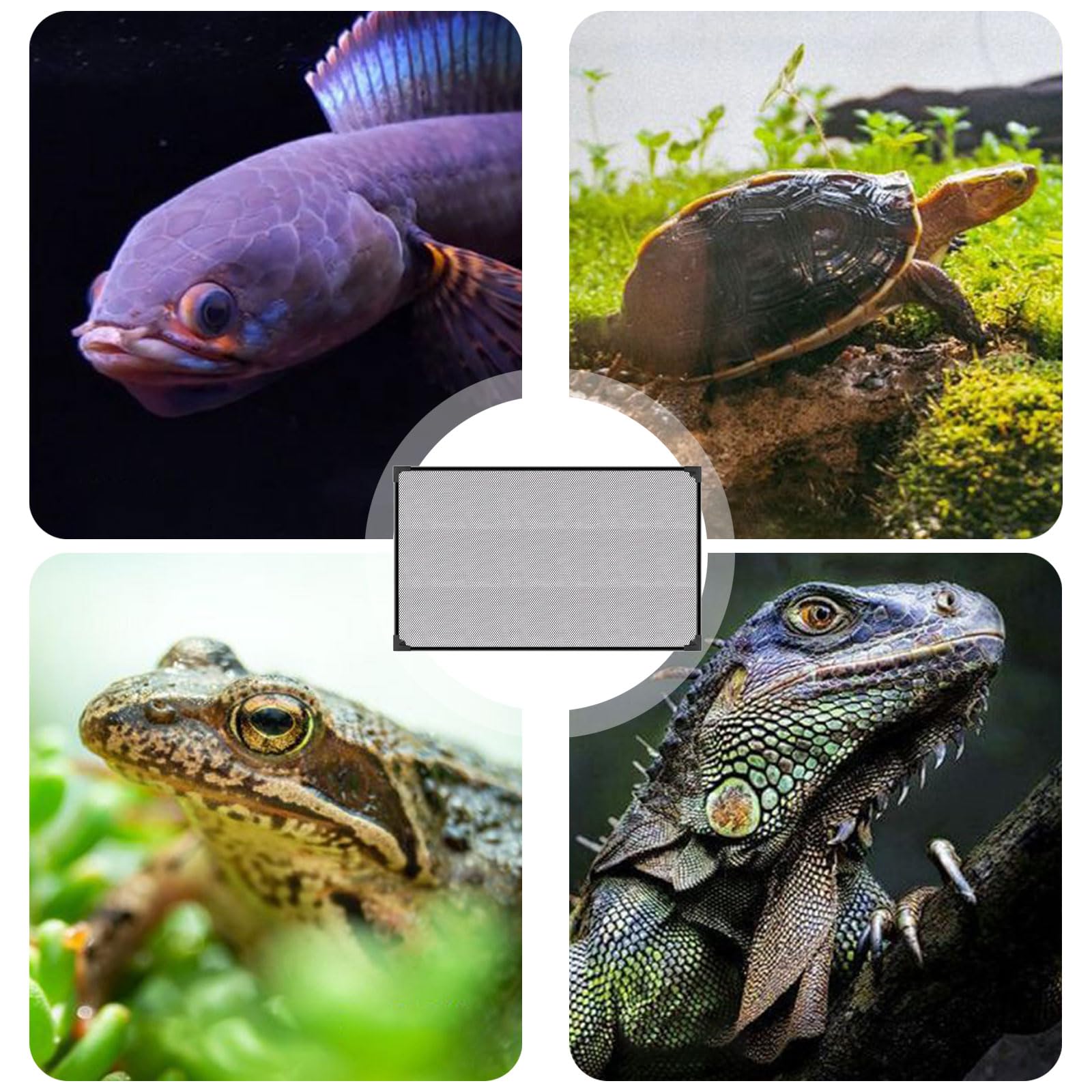 Couvercle D'aquarium, Filet Anti-Saut, Aquarium Couvercle D'écran, Fischtankdeckel, Facile À Installer Accessoires Aquarium Empêcher Poissons Reptiles (50 X 30 CM)