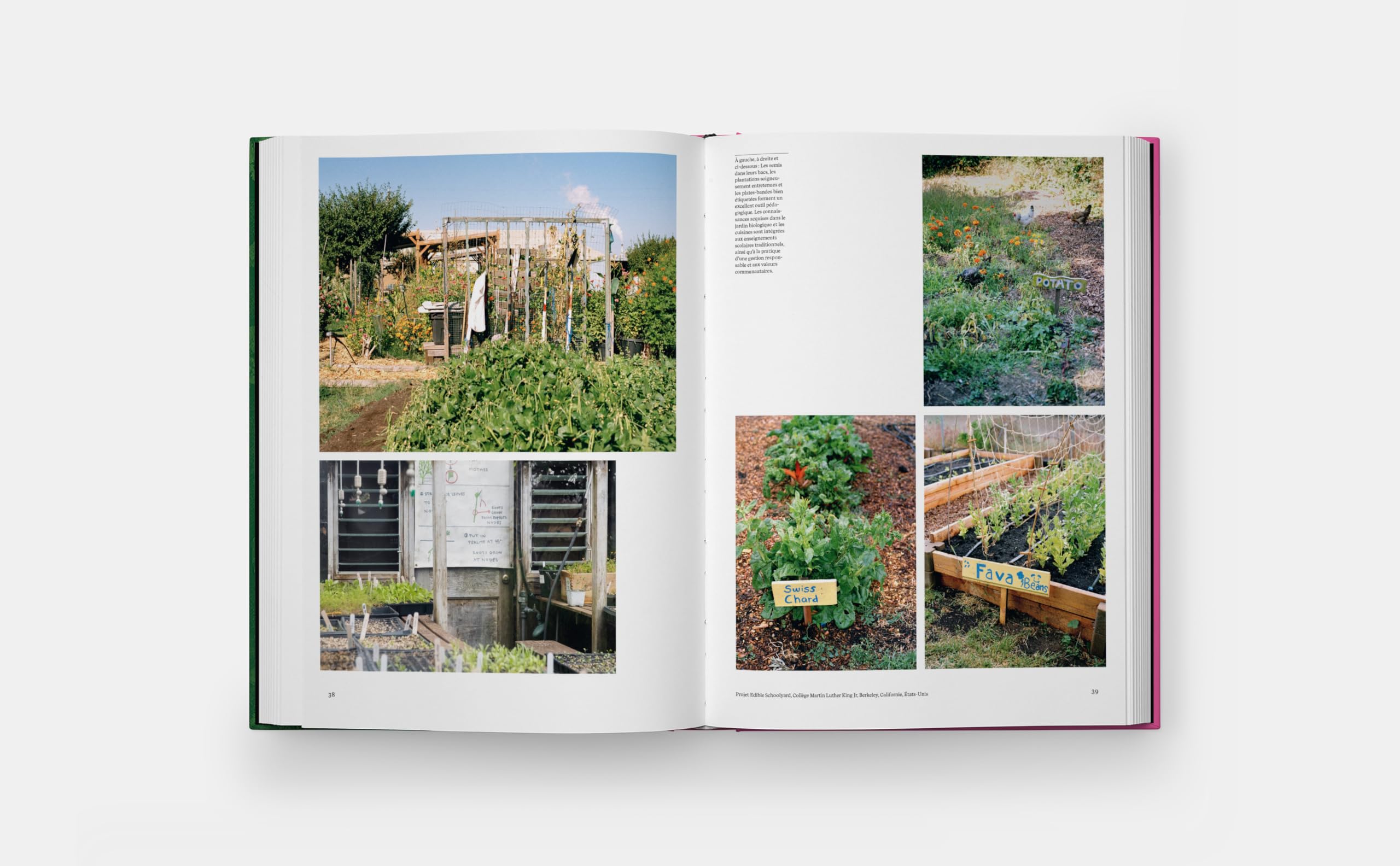 Jardins Potagers
