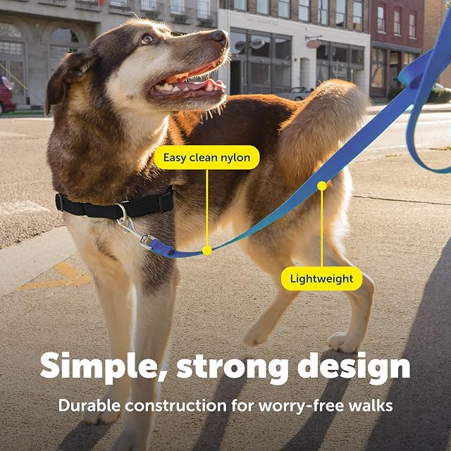 Foto 4 de 7 de Correa de nailon PetSafe - Nailon resistente para paseos diarios