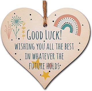 The Plum Penguin Handmade Wooden Hanging Heart Plaque Gift Good Luck Best Future Leaving Retirement Present Colleague Neighbour Card Alternative