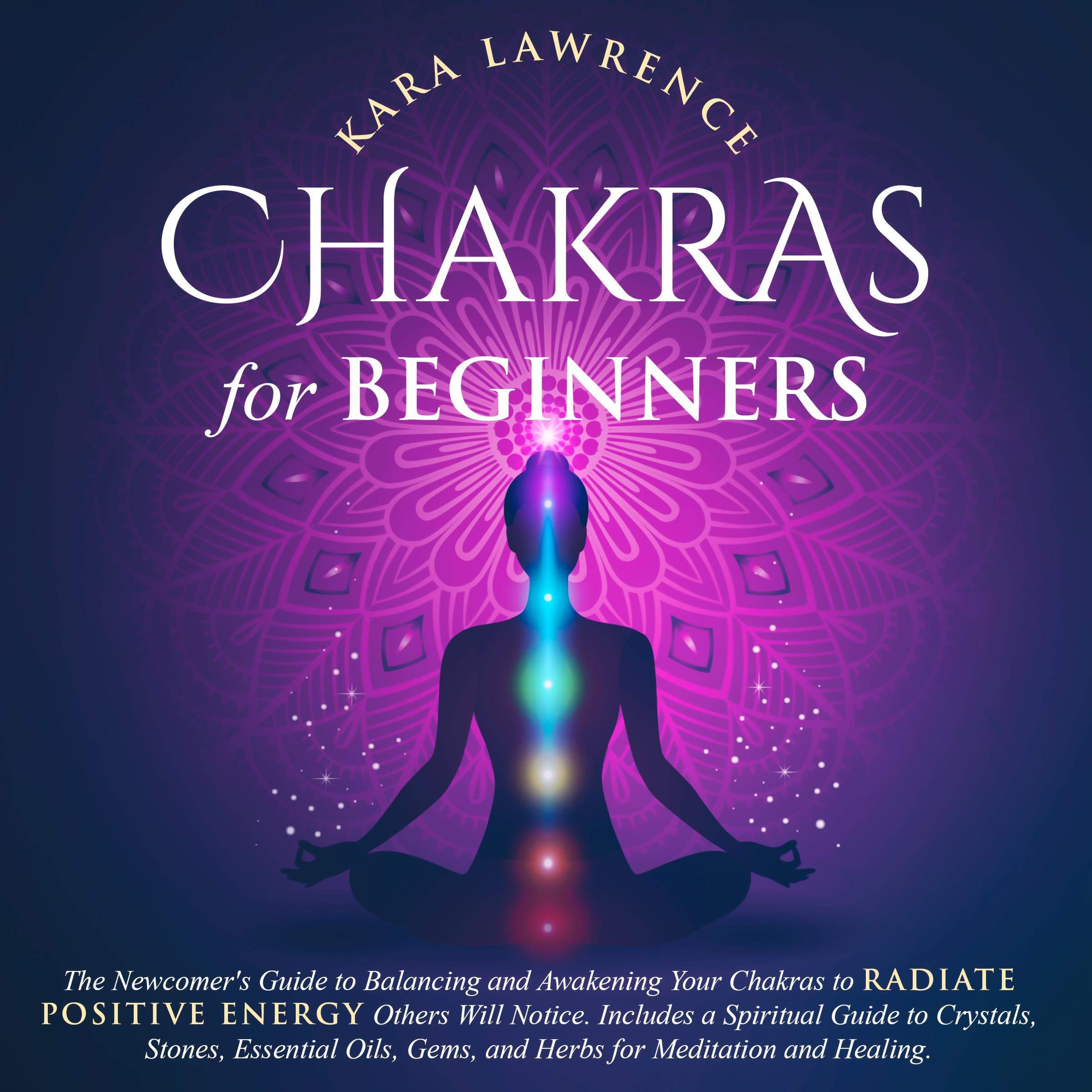 Cover art for Chakras for Beginners