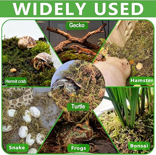 Vista 7 de BNOSDM Musgo esfagnum natural de 26 onzas para reptiles, sustrato de musgo reptil de 35 cuartos de galón, ropa de cama de terrario de musgo de turba
