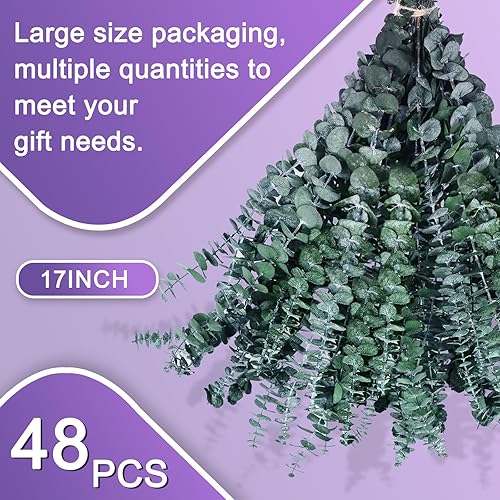 Miniatura 3 de 48 Pcs Large Dried Eucalyptus Stems - Natural Eucalyptus Branches for Shower Hanging, 17" Preserved Plants Steam Shower for Women and Men