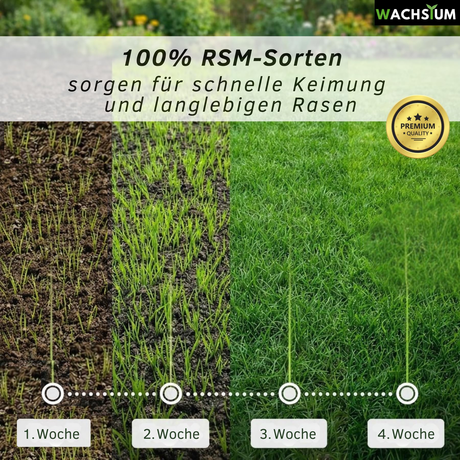 Rasensamen schnellkeimend 1kg 40qm – Frühjahr und Sommer Premium Grassamen Nachsaat, dichter strapazierfähiger Rasen, Mähroboter geeignet – kräftiges Wachstum, RSM Qualität, - 4