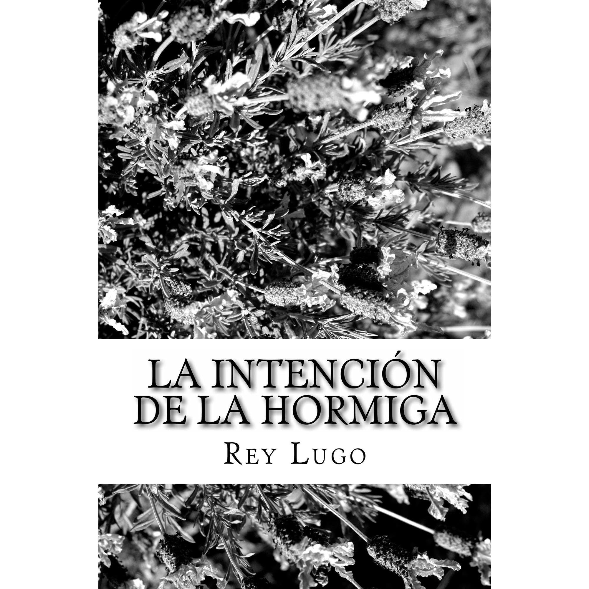 La Intención de la Hormiga