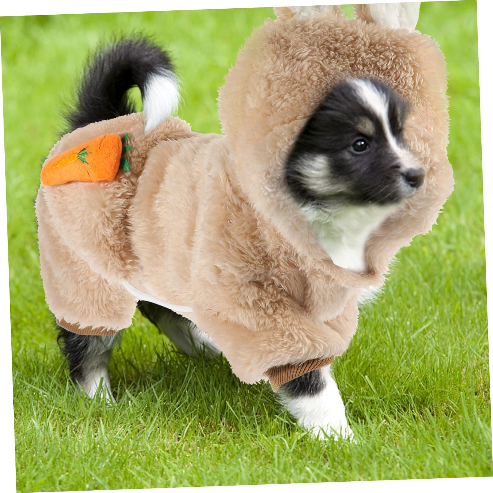 HANABASS 3piezas Abrigo De Invierno para Mascotas Ropa Térmica para Perros y Gatos Traje Capucha De Cálido para Actividades Diarias y Fotografía