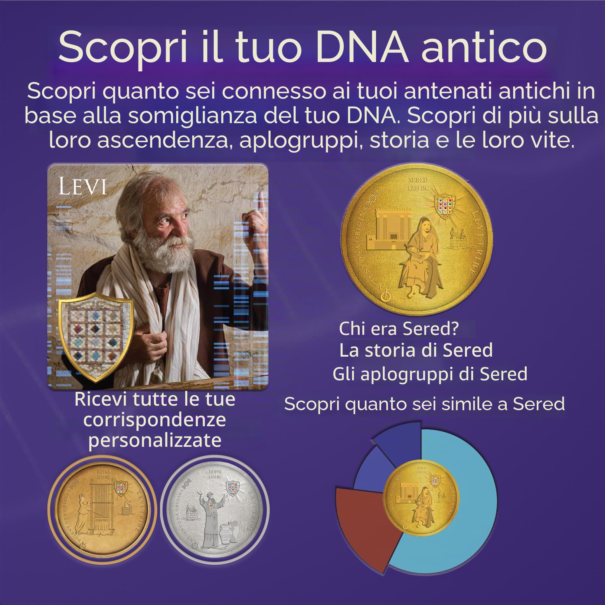 Carica il tuo file DNA autosomico grezzo e scopri la tua eredità con il test degli antenati "Tribes of Israel: Levi" di Ancient DNA Hub | Traccia radici tribali, lignaggio storico e migrazione antica