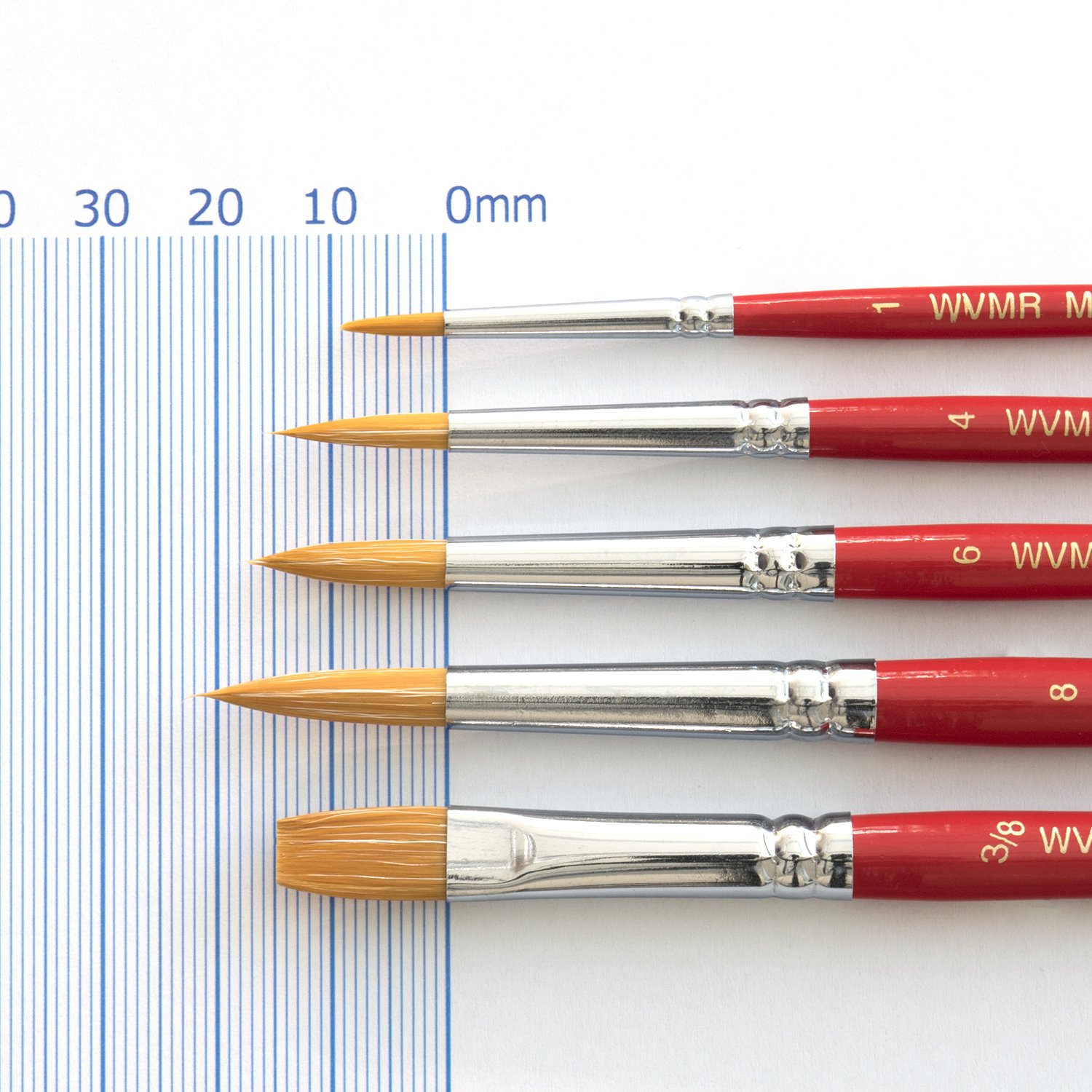 Amazon.co.jp: ターレンスジャパン(Talens Japan) ミニ