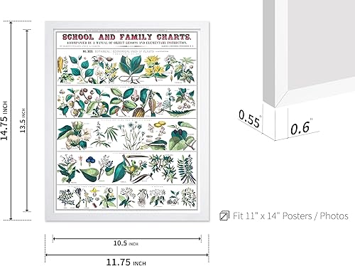 Miniatura 162 de Poster Master Póster vintage de orquídea, estampado de flores retro, arte de pared de plantas exóticas, arte botánico, regalo para hombres y