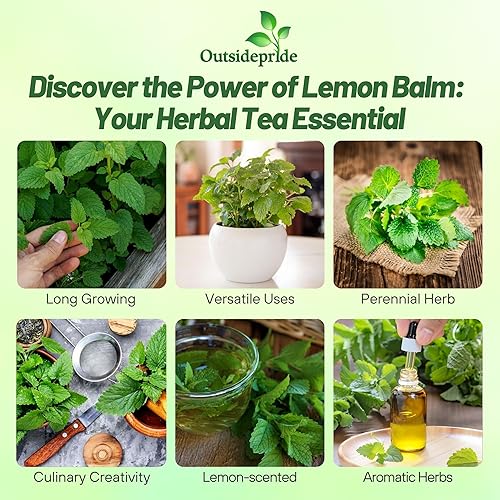 Miniatura 2 de Outsidepride Perennial Melissa Officinalis bálsamo de limón culinario, plantas de jardín de hierbas aromáticas - 10000 semillas