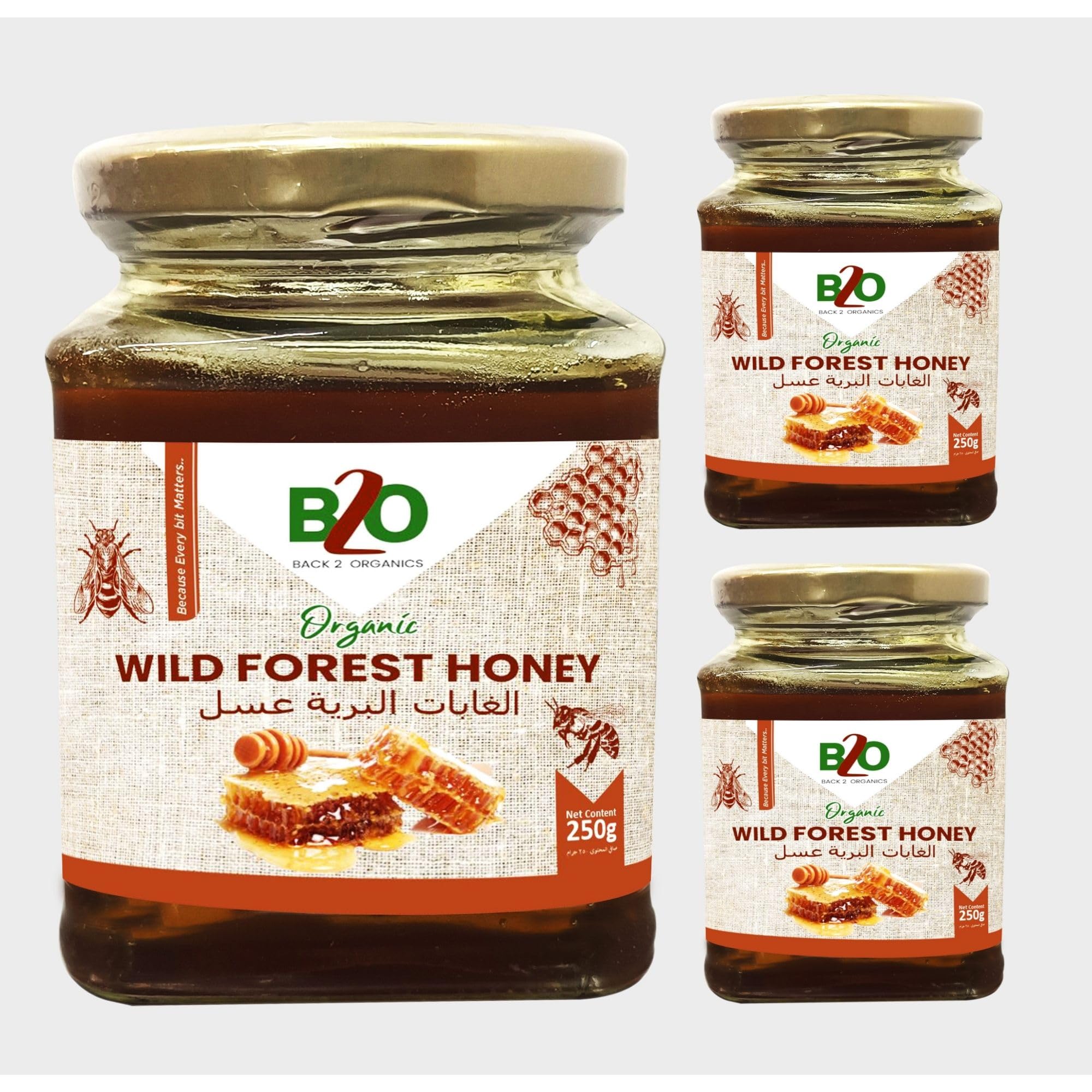 Back 2 Organics Wild Honey, 250ml (Pack of 3) - Enjoy the Rich Taste of Raw Wild Honey (750ml Total)