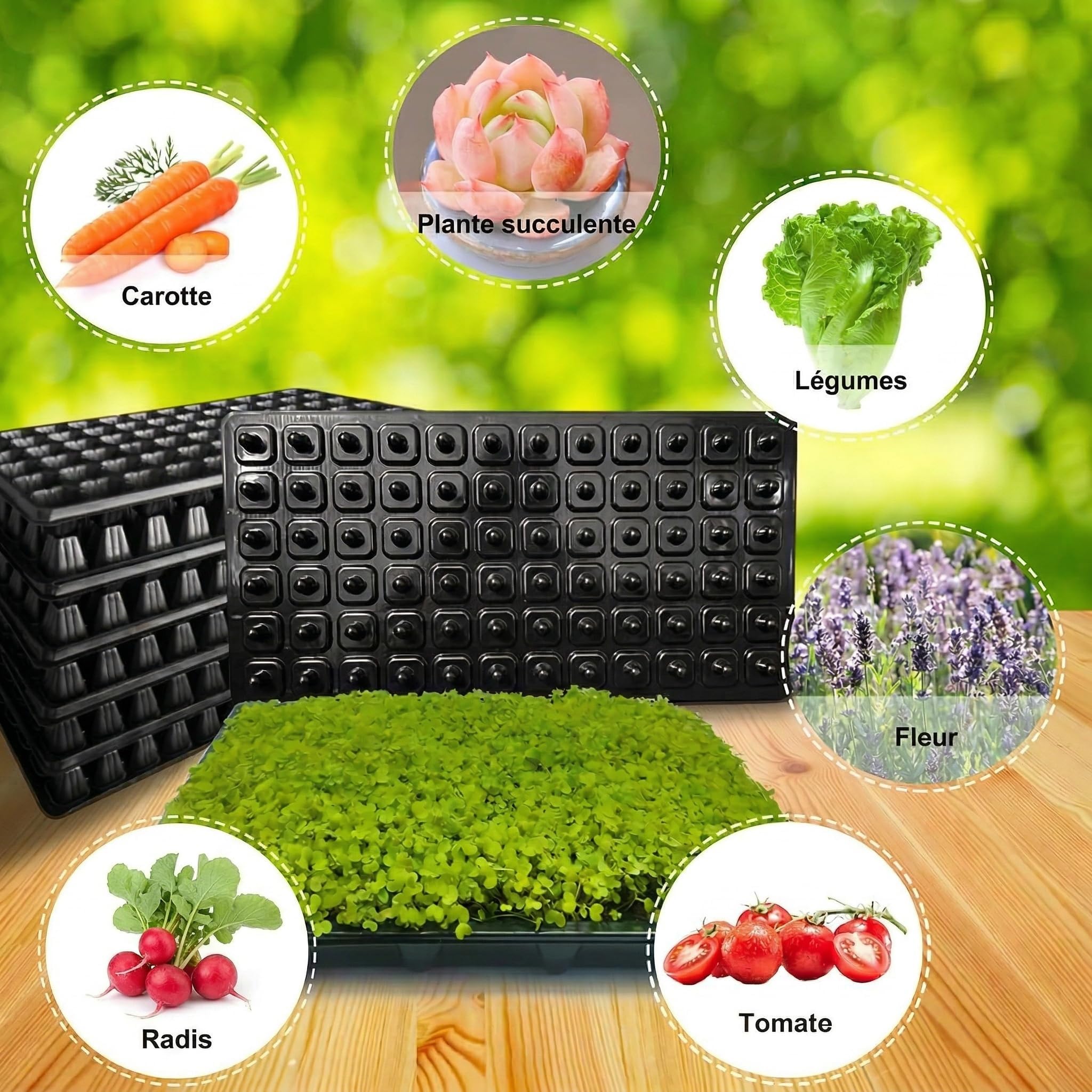 12 Pièces Plateaux Semis Plateau Plantation Germination Multi Cellules Réutilisable Drainage Optimisé Fabriqué en PP Adapté Culture Maison Serre Intér, 32 cellules