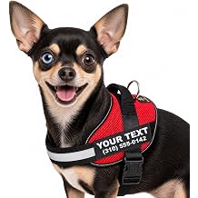 DOGGYKINGDOM Personalized Mesh XS Dog Harness, Puppy Vest for Small Dogs