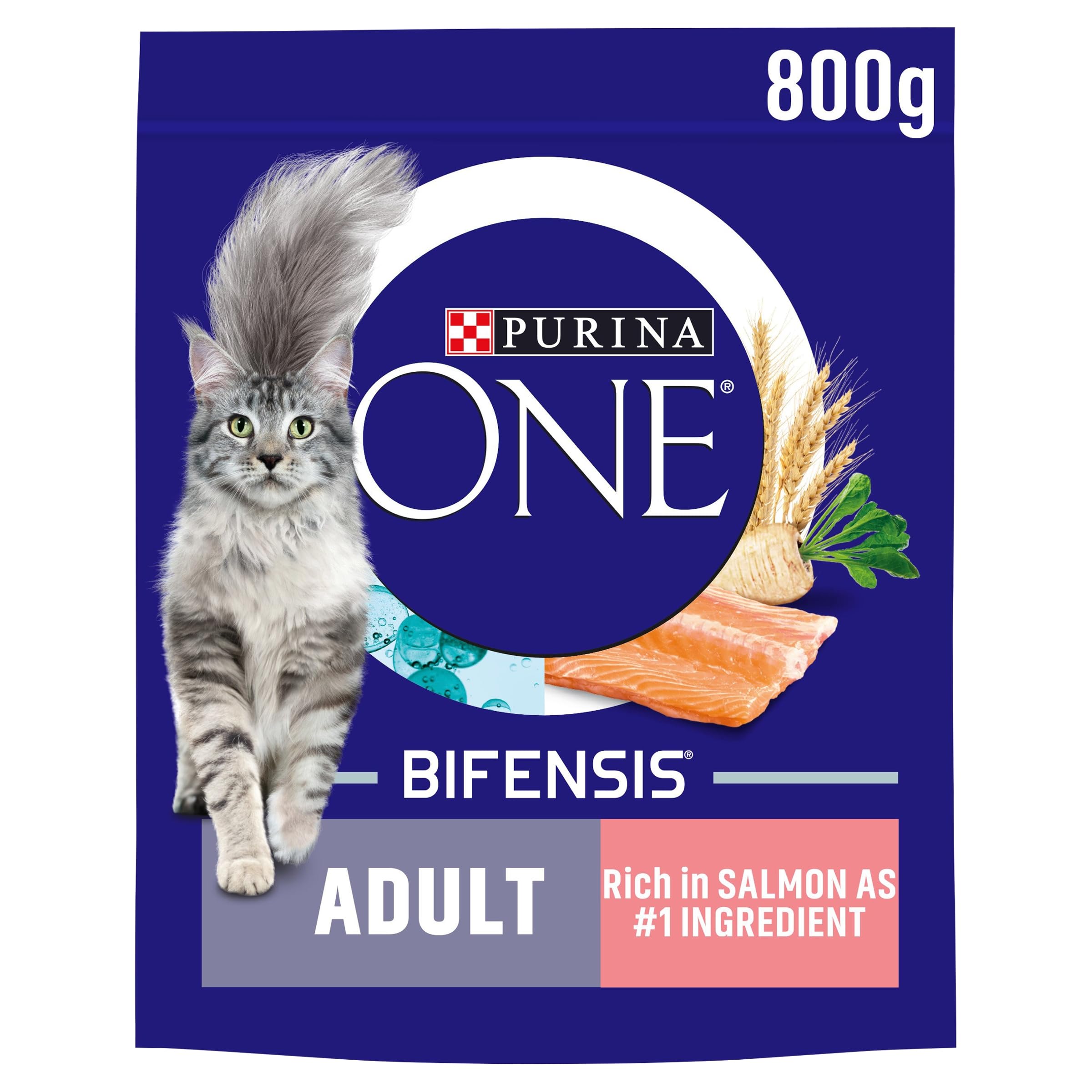 PURINA ONE Salmon Dry Cat Food 800g (Pack of 4)