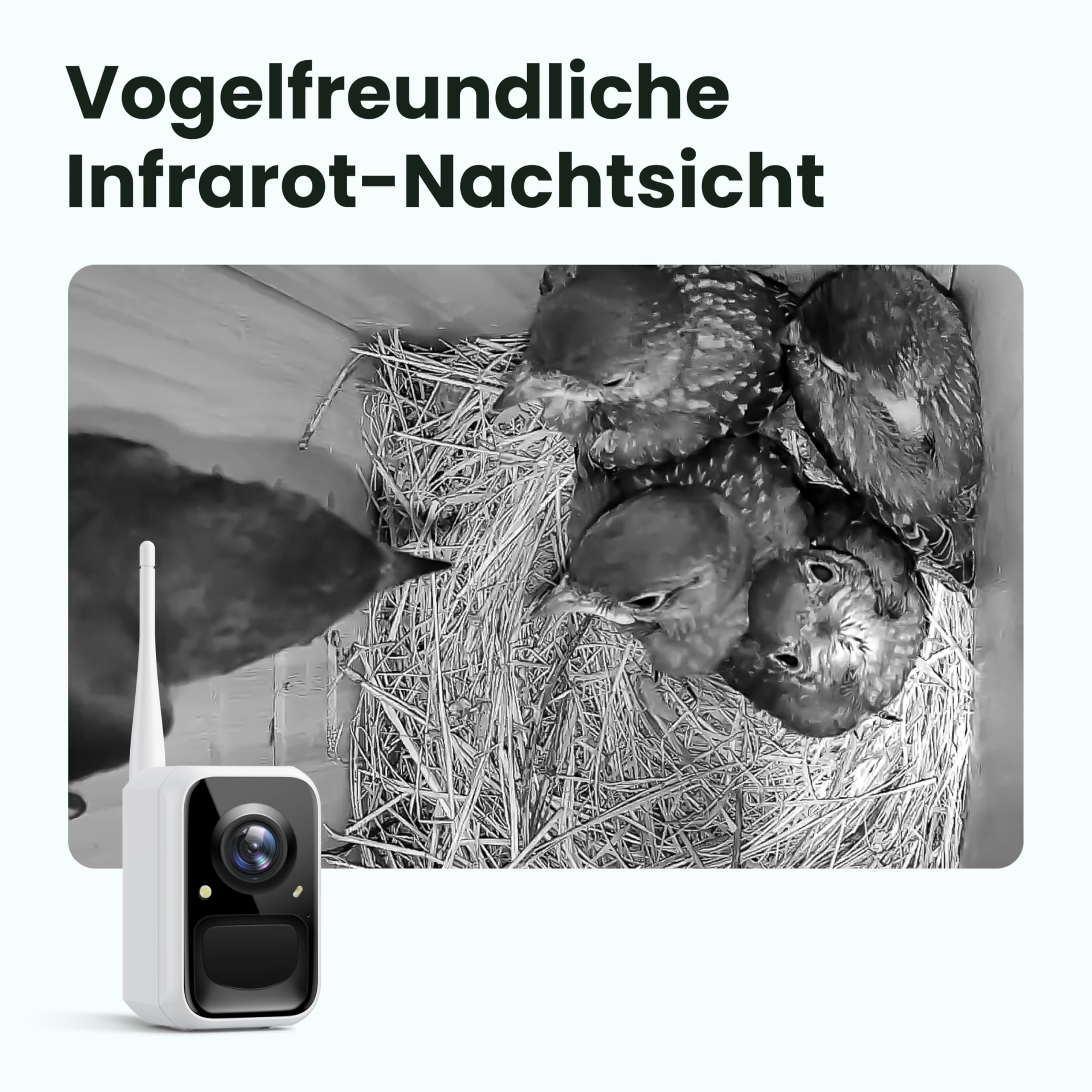 Birdfy Vogelhaus mit Kamera Solar, 1080P FHD Live-View, Echtzeitbeobachtung des Nestbaus und der Brut von Vögeln,Nistkasten mit Kamera, 5200mAh Akku, KI - Ident Vogelfreunde
