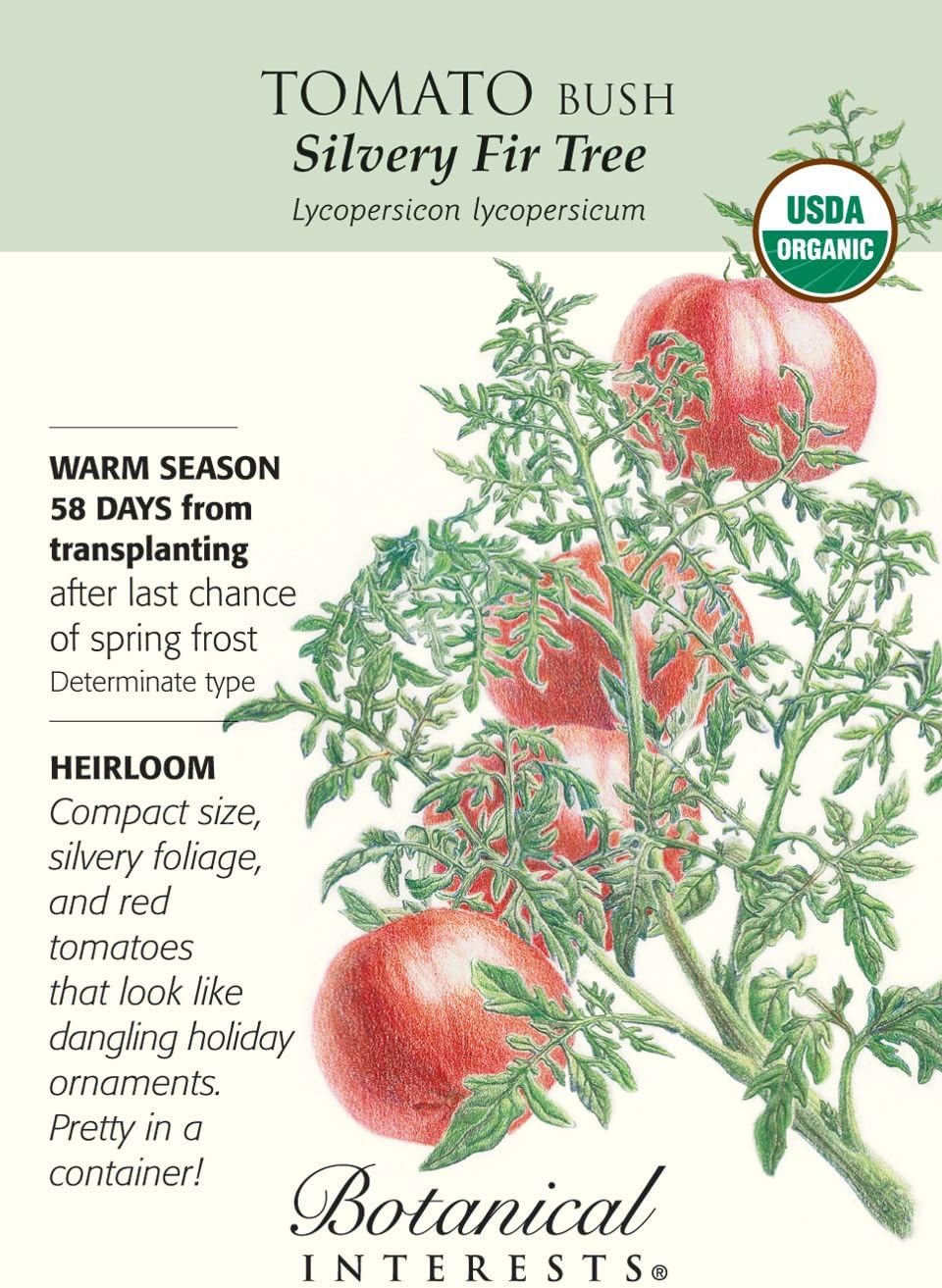 Tomato Bush "Silvery Fir Tree" Russian Heirloom Organic