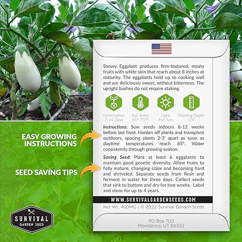 Miniatura 2 de Paquete de 5 semillas de berenjena nevada para plantar, paquete con instrucciones para cultivar berenjenas blancas (berenjena) en el huerto de tu