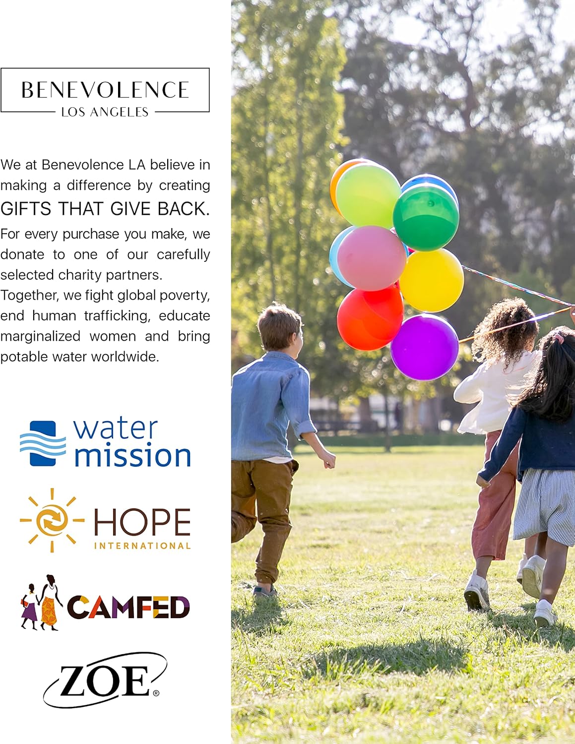 Set of 2 Toiletry Bags for Women, Travel Toiletry Bag for Cosmetics, Makeup, Toiletries | Large Capacity Toiletry Bags for Traveling, Cosmetic Pouch, Makeup Bag Small and Large Size, Ebony