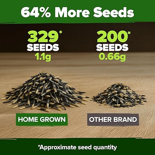 Miniatura 188 de HOME GROWN Semillas de girasol para plantar Más de 520 semillas de girasol de mamut gigante para plantar paquete a granel reliquia, alta