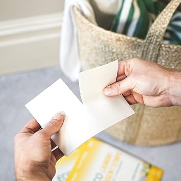 Eco-Friendly Laundry Detergent Sheets - Biodegradable, Hypoallergenic, Zero Waste, Plastic-Free Eco-Strips - No Enzymes, Plant-Based Formula (60 washes, Sweet Botanical)