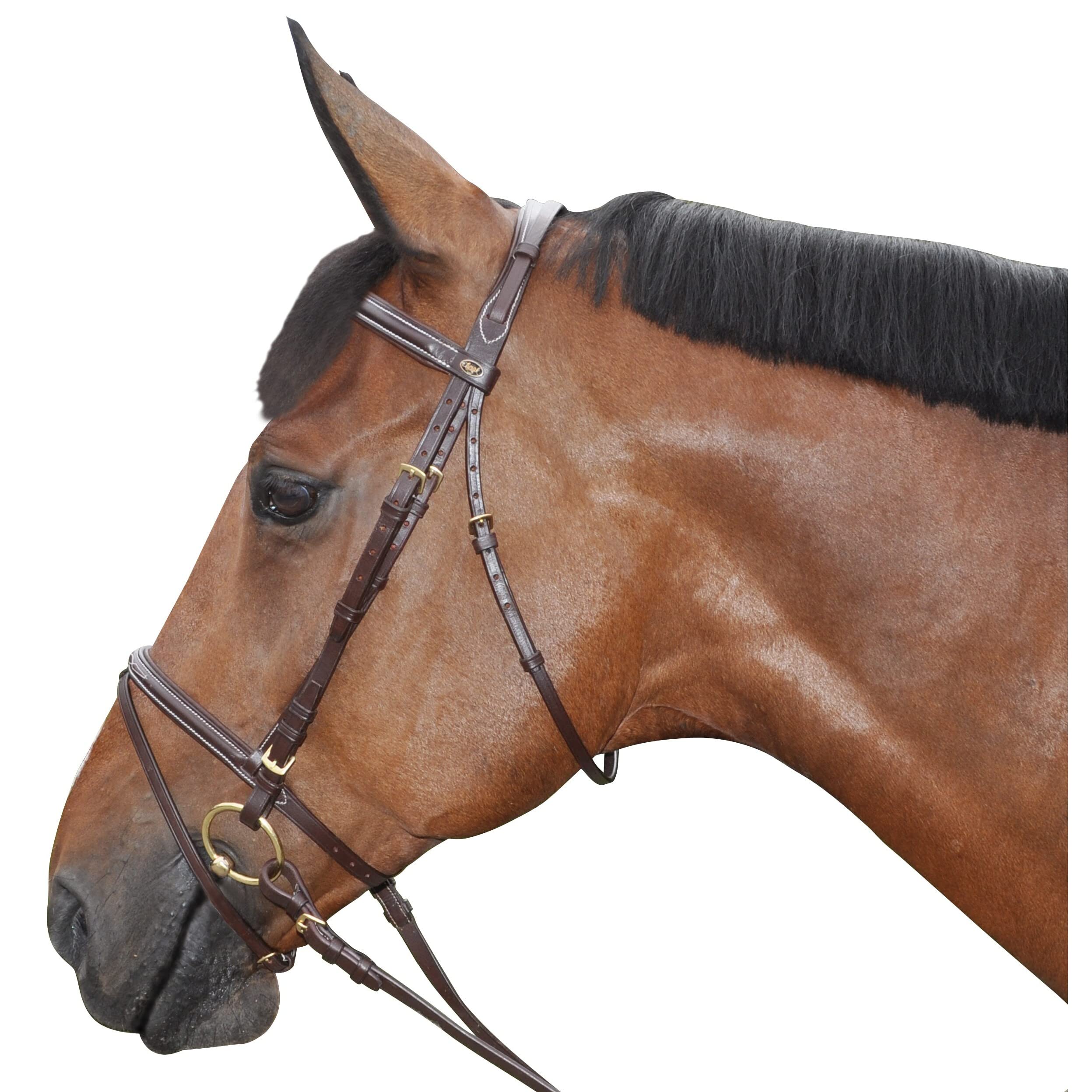 Canter Cabezada de Montar combinada con Costura